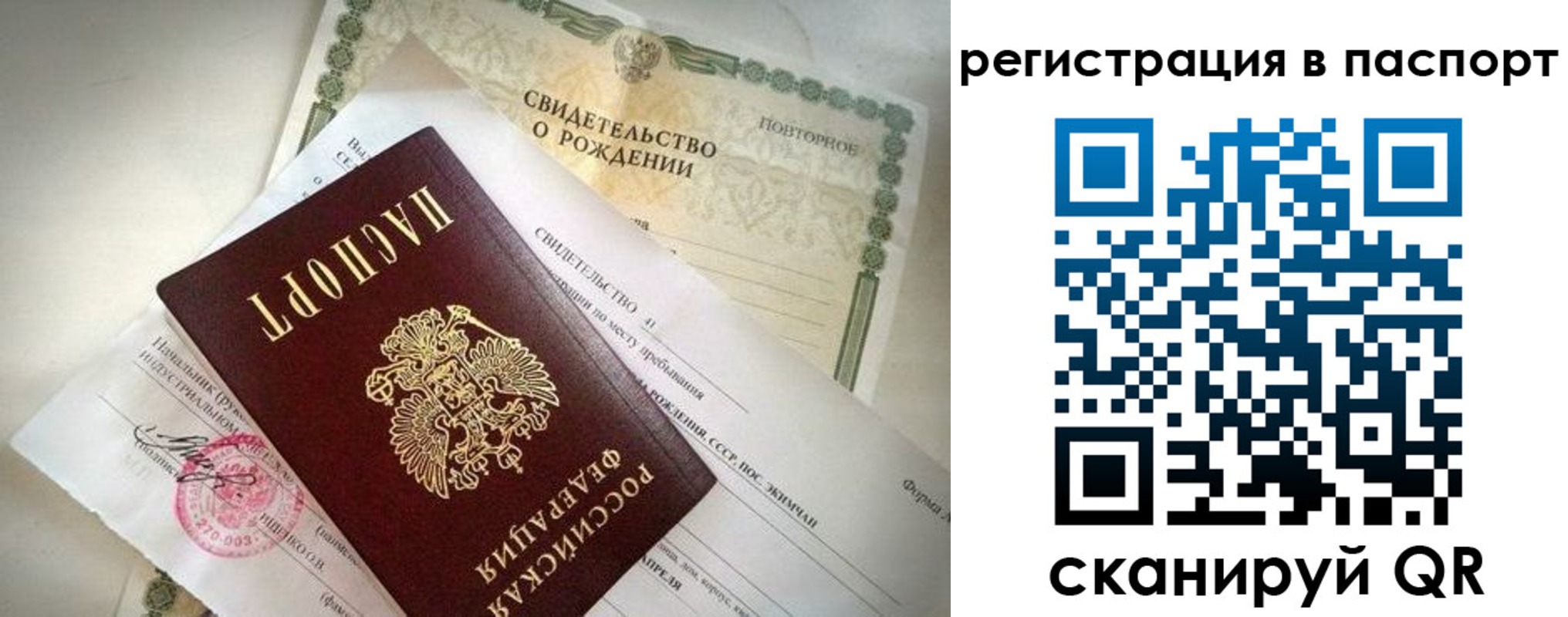 прописка гарантия в Мончегорске
